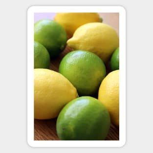 Lemons and Limes Sticker